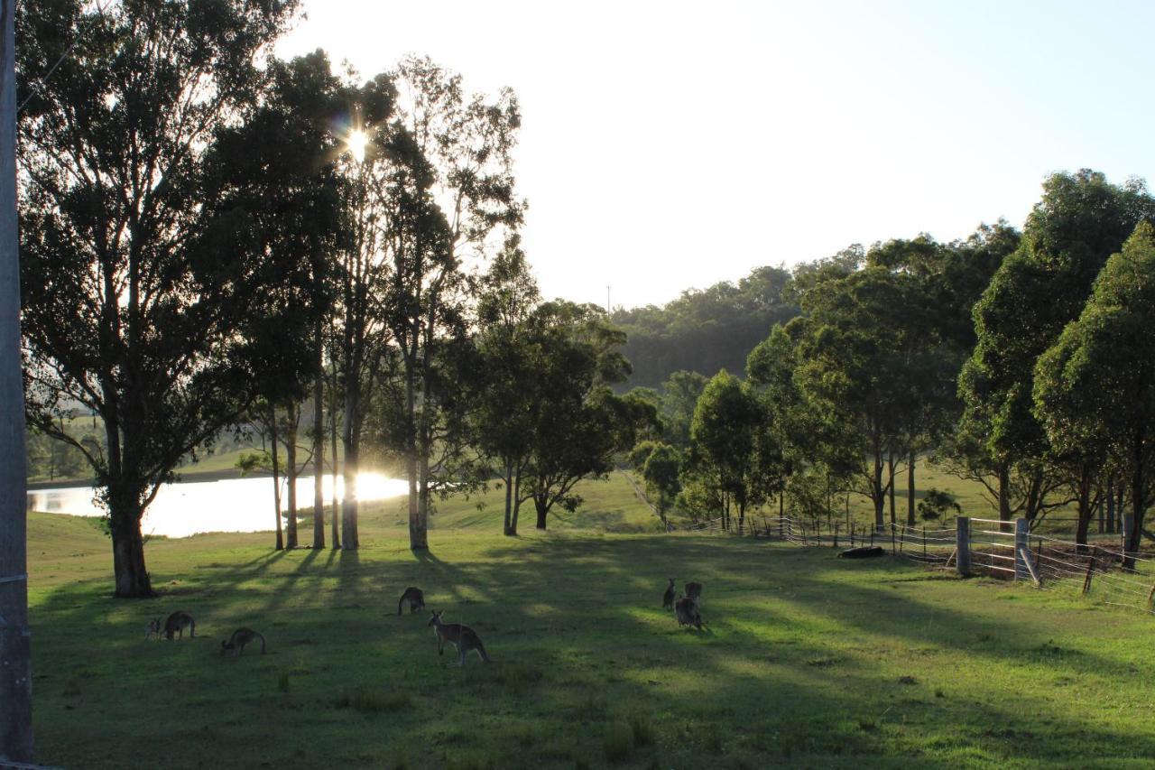 Hill Top Country Guest House Lovedale Exterior photo